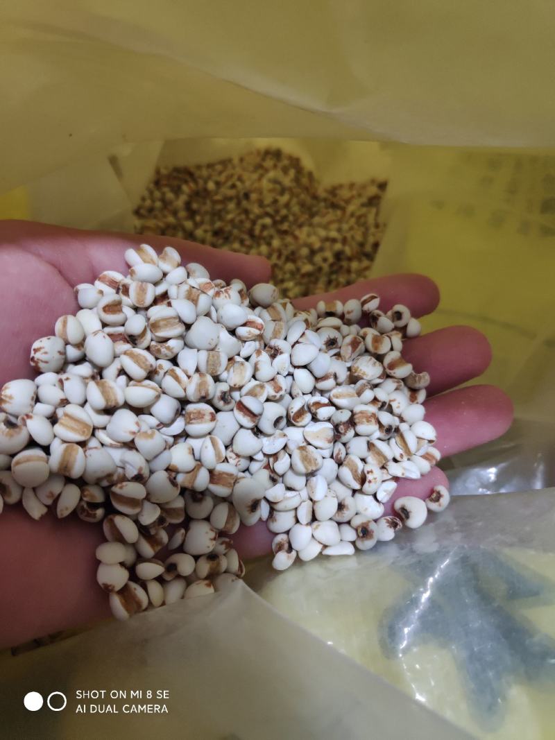 薏米仁农家特产新鲜大薏米新货无硫薏米