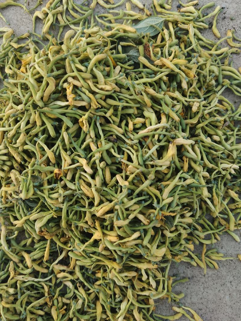 山银花