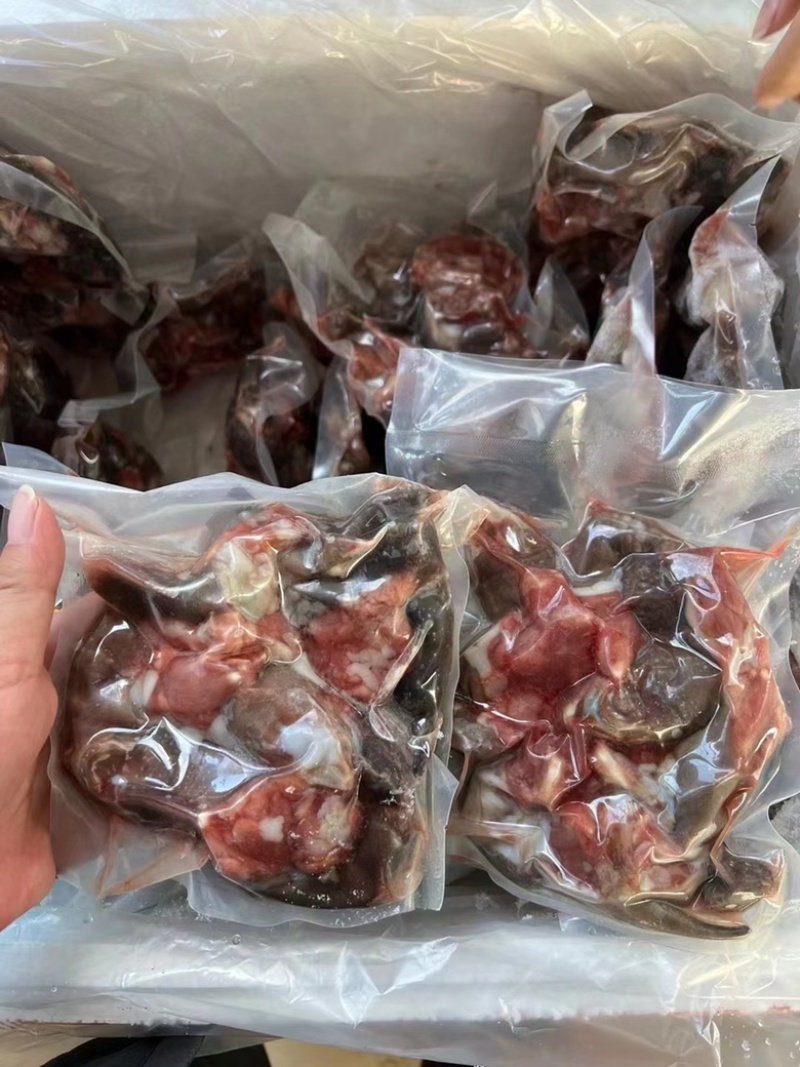 中华草龟肉