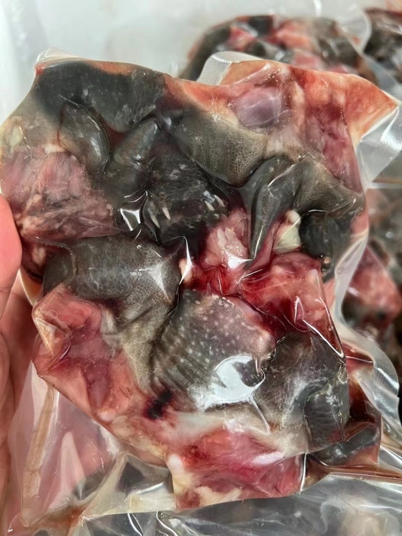 中华草龟肉