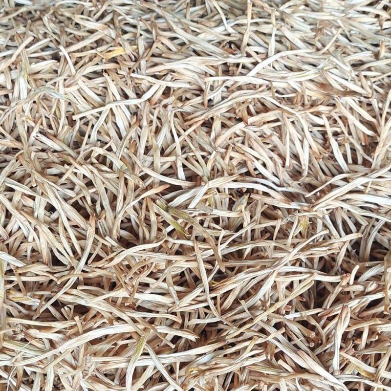 大荔黄花菜产地直发