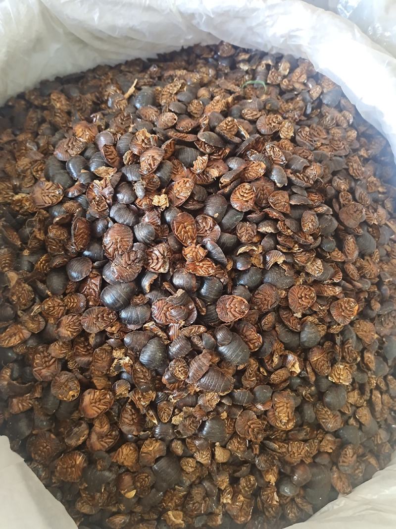 中药材土元地鳖虫地别地鳖规格齐全地道中药材土元
