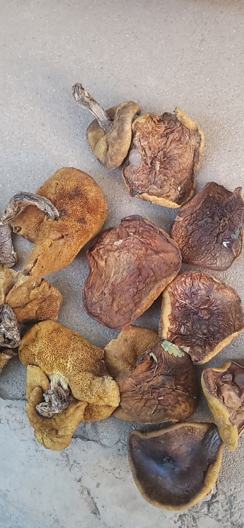 烤干1.5-3的小片最后4箱160斤需要的联系处理价格便