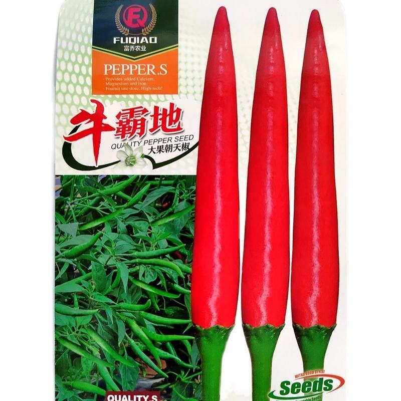 牛霸地大果朝天椒种子，1000粒