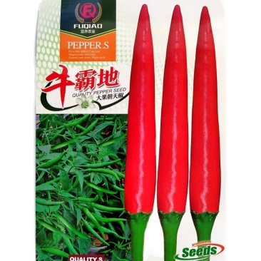 牛霸地大果朝天椒种子，1000粒