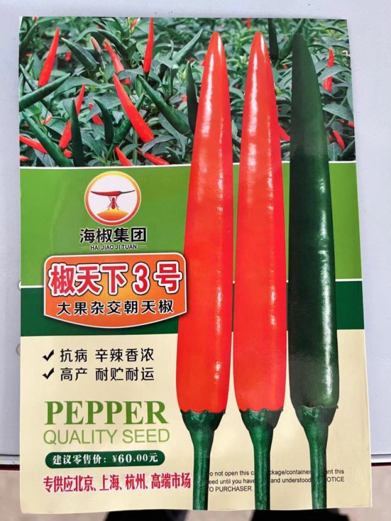 椒天下3号朝天椒种子1000粒
