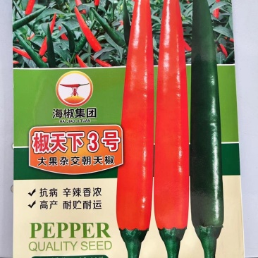 椒天下3号朝天椒种子1000粒