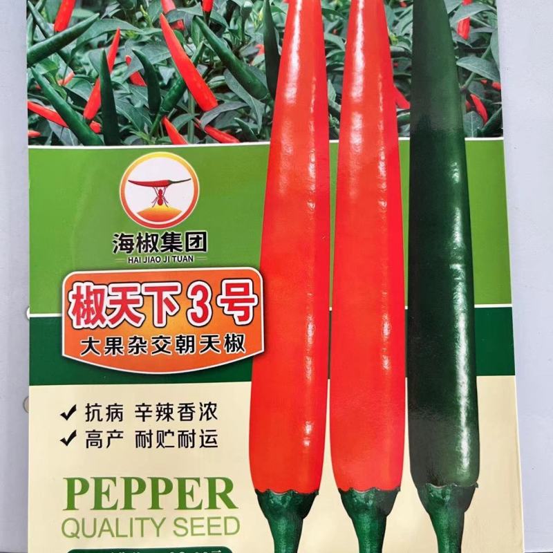 椒天下3号朝天椒种子1000粒