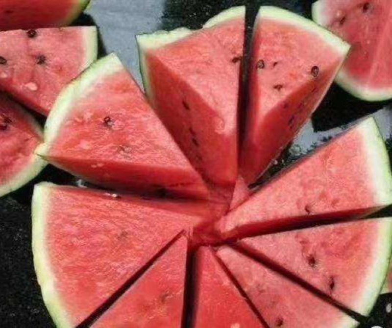 精品无籽美都西瓜直播苗，大量供应，诚信经营，质量保证