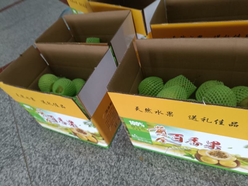 福建黄金百香果当天采摘当天发货纯甜口感一件代发