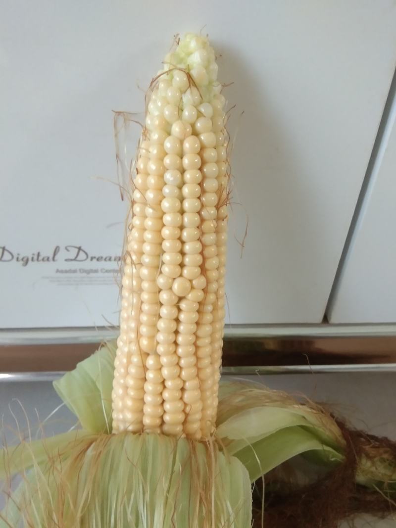 大量出售水果玉米
