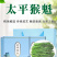 猴魁新茶手工绿茶茶叶礼盒包装250克