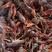 江苏淡水养殖小龙虾基地，水质清澈，肉质细嫩，地板干净，