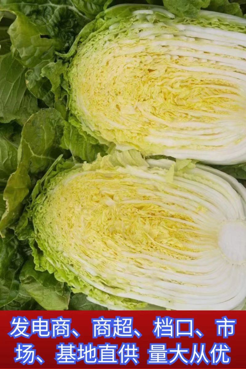 [荐]黄心白菜大白菜白菜看货论价保质保量欢迎订购