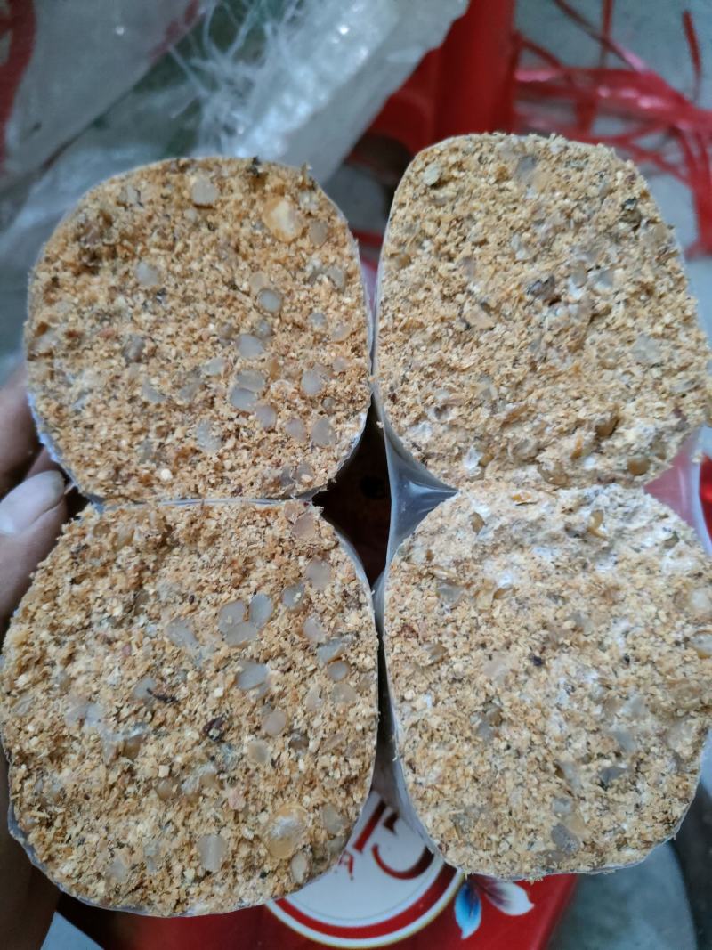 茯苓菌种，厂家直销量大从优合适请视频看货