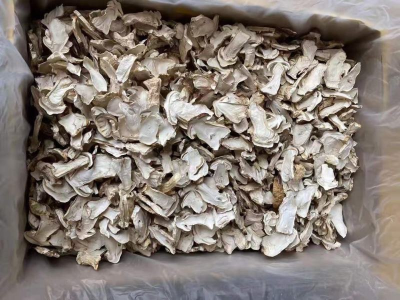 牛肝菌鲜货，烤干片