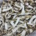 牛肝菌鲜货，烤干片