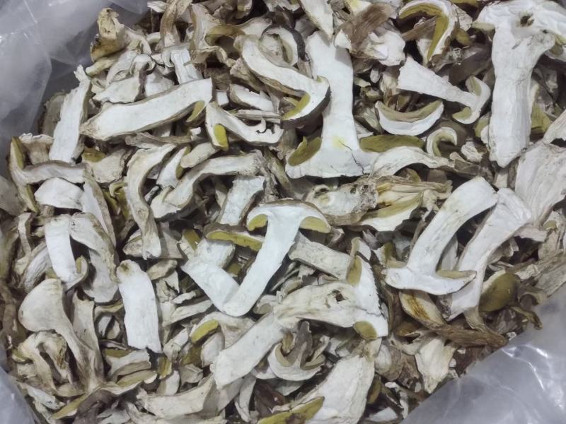 牛肝菌鲜货，烤干片