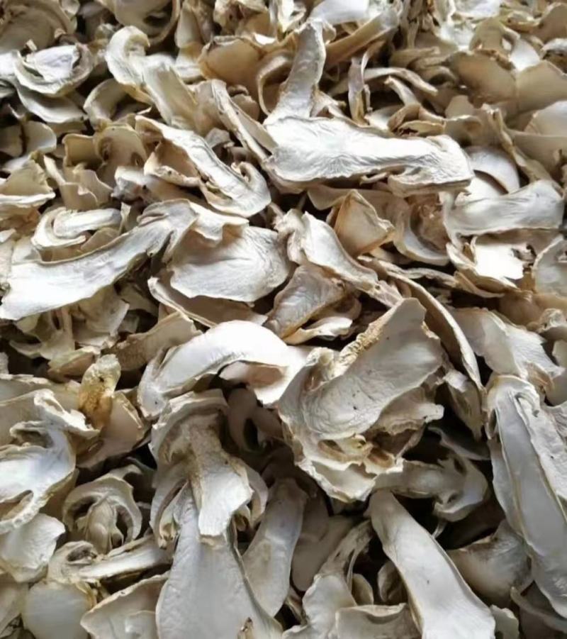 牛肝菌鲜货，烤干片