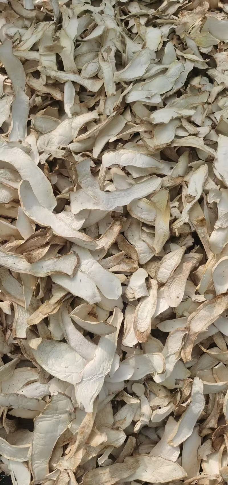 牛肝菌鲜货，烤干片