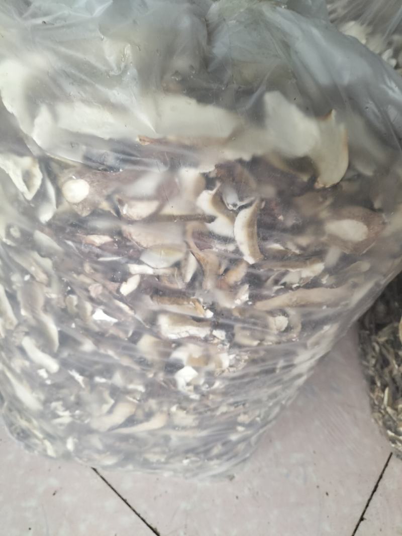 牛肝菌鲜货，烤干片
