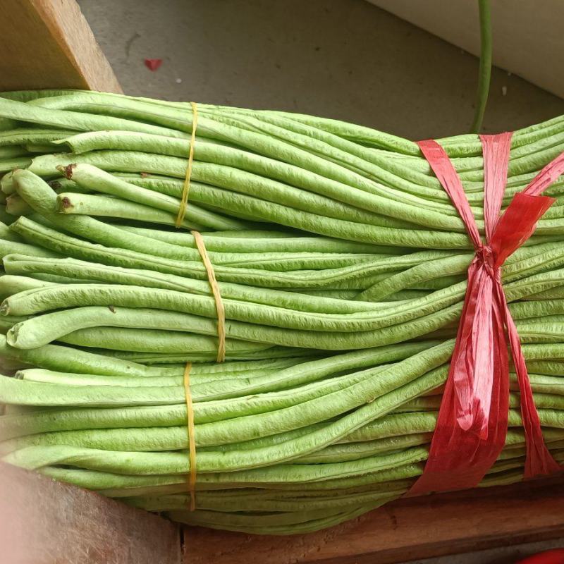 长豆