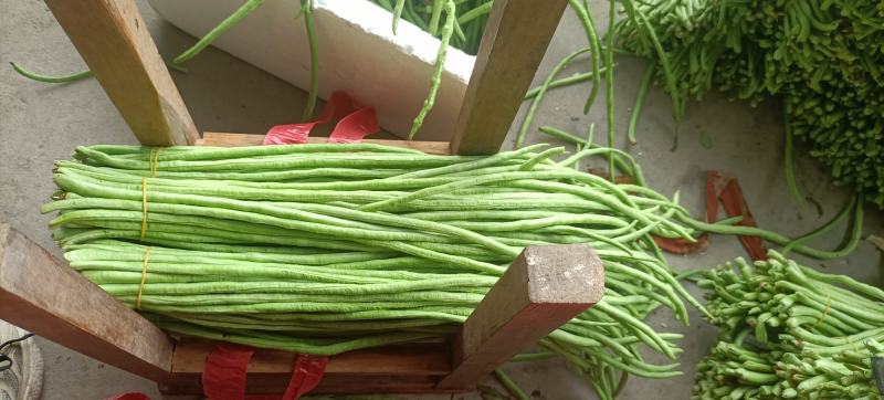 长豆