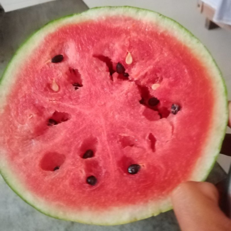 龙卷风西瓜