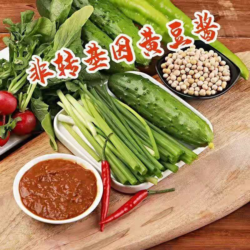 【工厂直发】正宗黄豆酱东北大酱豆瓣酱农家大豆酱调味酱批发
