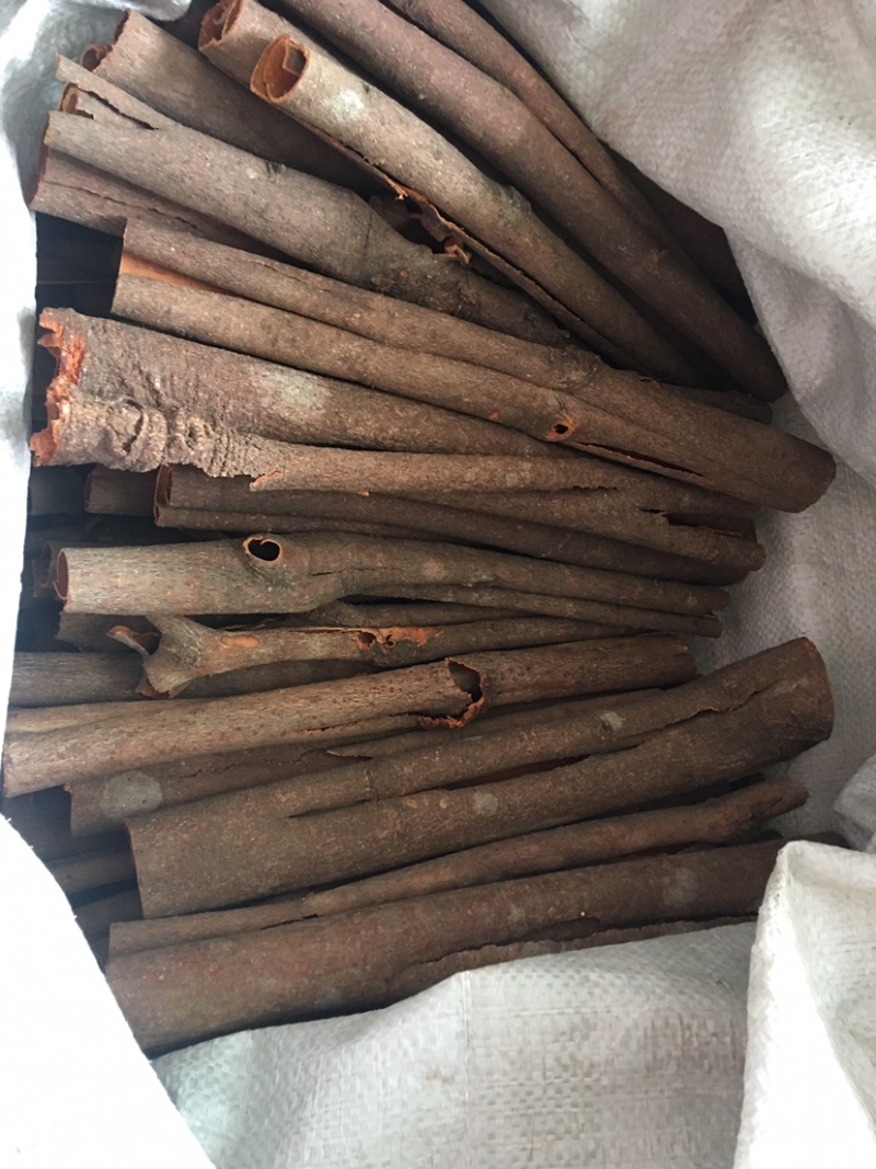 广西桂皮桂碎黄通桂通产地直发品质保证