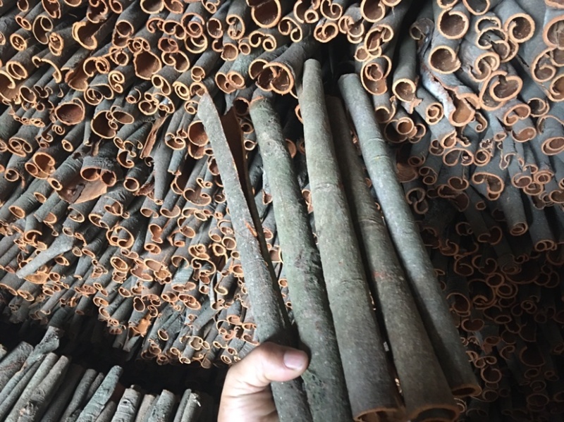广西桂皮桂碎黄通桂通产地直发品质保证