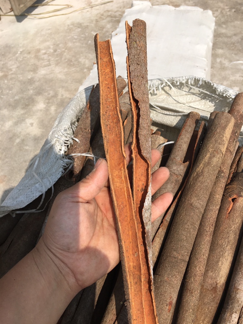 广西桂皮桂碎黄通桂通产地直发品质保证