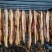 烟熏柴火肥腊肉(腊肉香肠源头工厂一手货源量大从优)