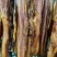 烟熏柴火肥腊肉(腊肉香肠源头工厂一手货源量大从优)