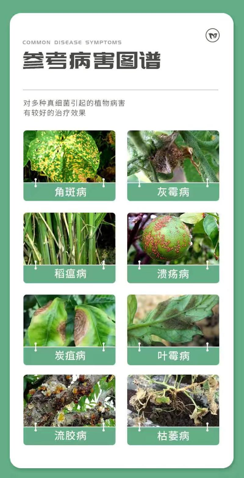 卡思米6%春雷霉素叶霉病稻瘟病细菌性角斑病病害农药