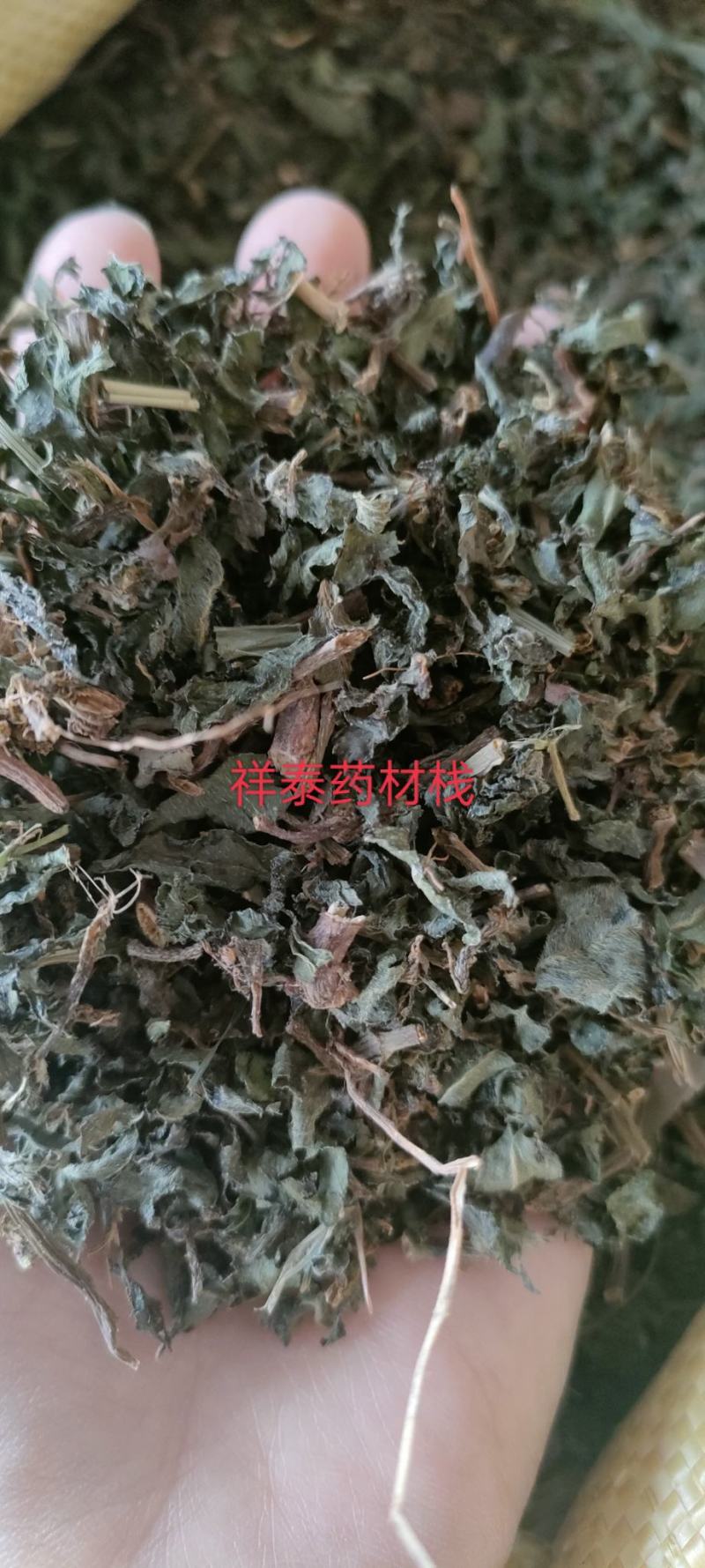 （热销）墨旱莲旱莲草大量新货颜色鲜艳自产自销山东本地