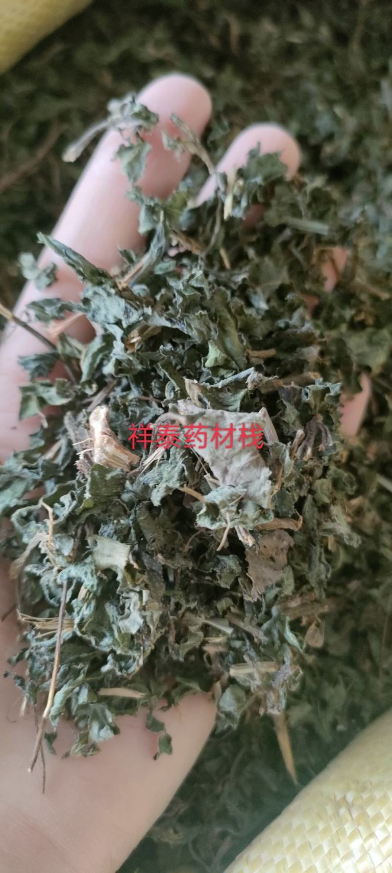 （热销）墨旱莲旱莲草大量新货颜色鲜艳自产自销山东本地