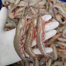剑虾滑皮虾天然深海部分带糕青虾条虾船冻硬壳虾