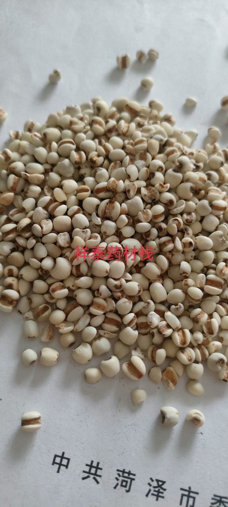 （热销）薏苡仁薏米炒薏苡仁产地贵州货源充足量多从优