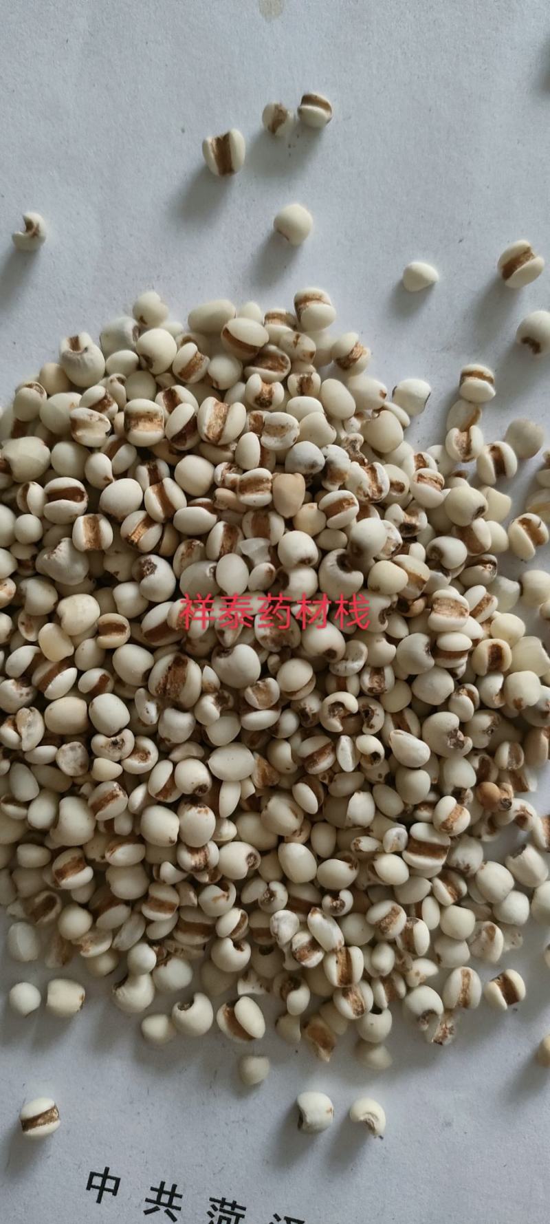 （热销）薏苡仁薏米炒薏苡仁产地贵州货源充足量多从优