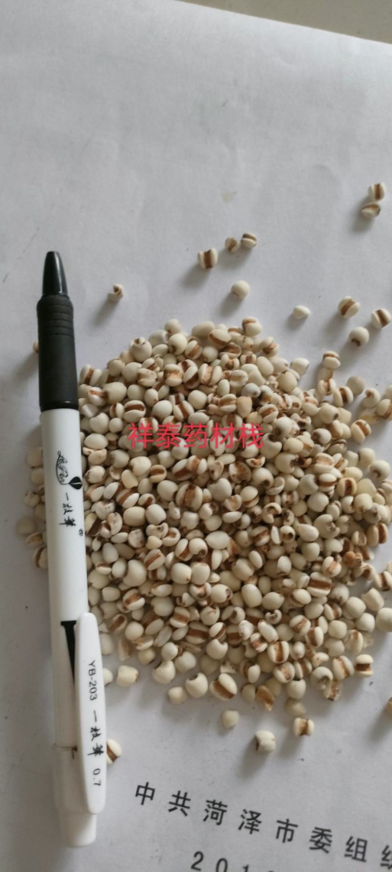 （热销）薏苡仁薏米炒薏苡仁产地贵州货源充足量多从优