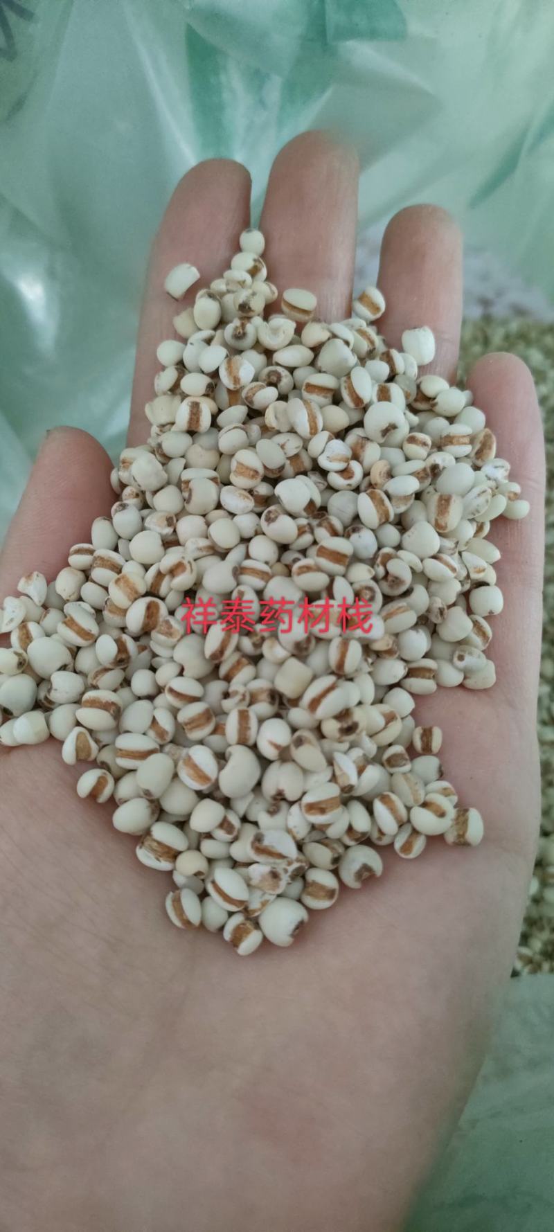 （热销）薏苡仁薏米炒薏苡仁产地贵州货源充足量多从优