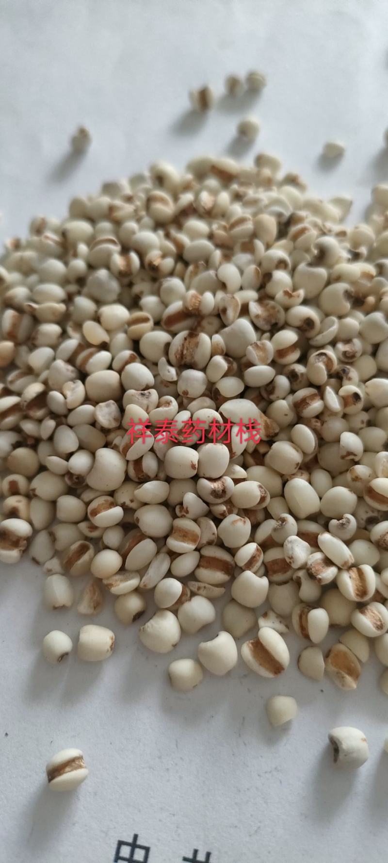 （热销）薏苡仁薏米炒薏苡仁产地贵州货源充足量多从优