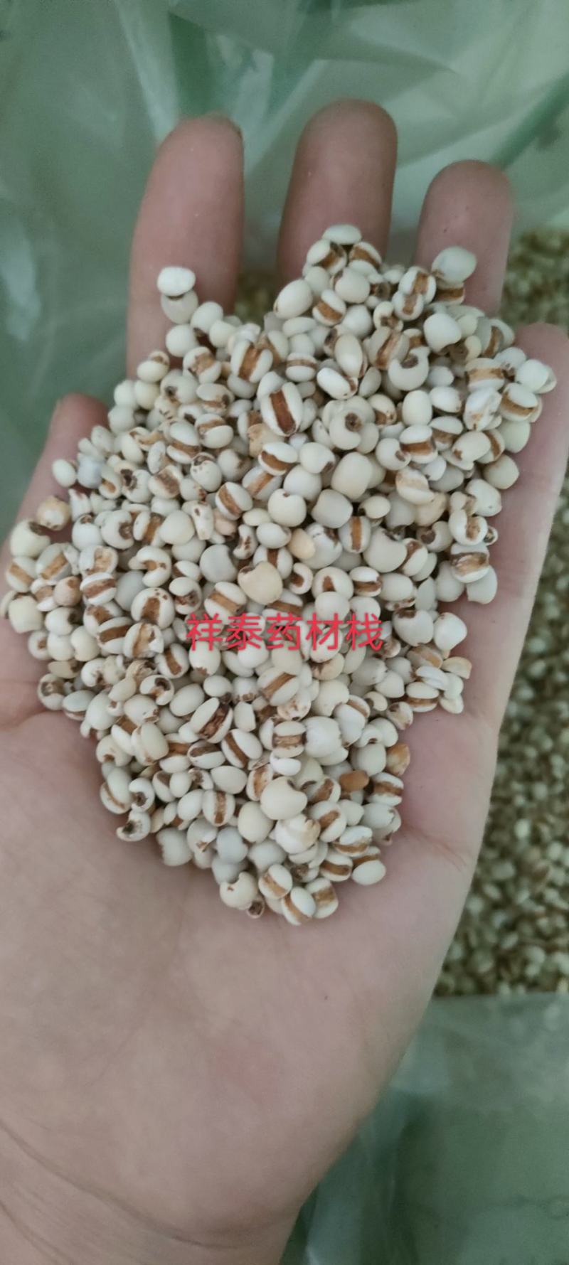（热销）薏苡仁薏米炒薏苡仁产地贵州货源充足量多从优