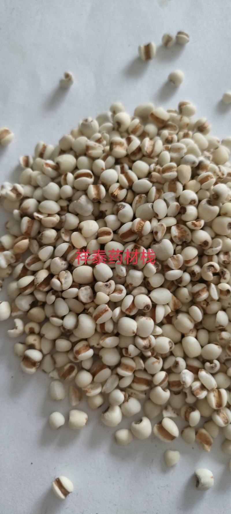 （热销）薏苡仁薏米炒薏苡仁产地贵州货源充足量多从优