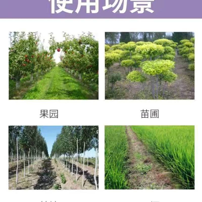 四川利四川利尔欢刀乙羧草铵膦果园荒地非耕地牛筋草杂草农药