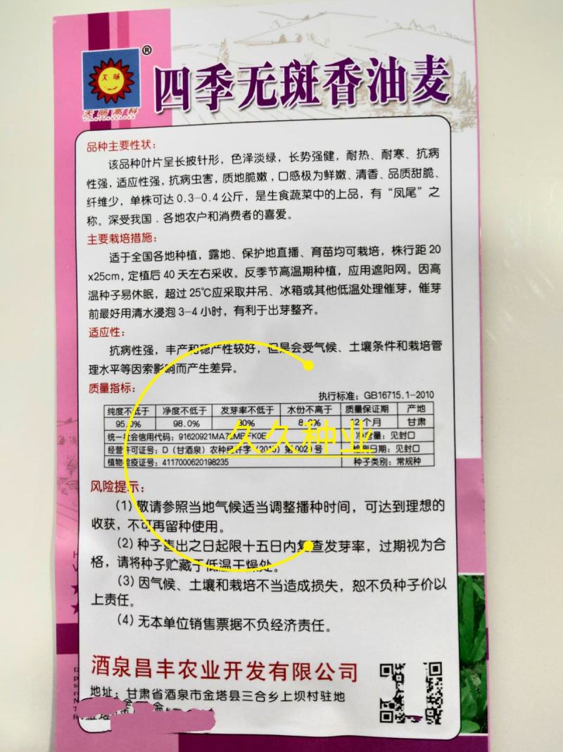 无斑甜油麦种子早熟耐热耐寒四季油麦菜种籽盆栽籽种春季蔬菜