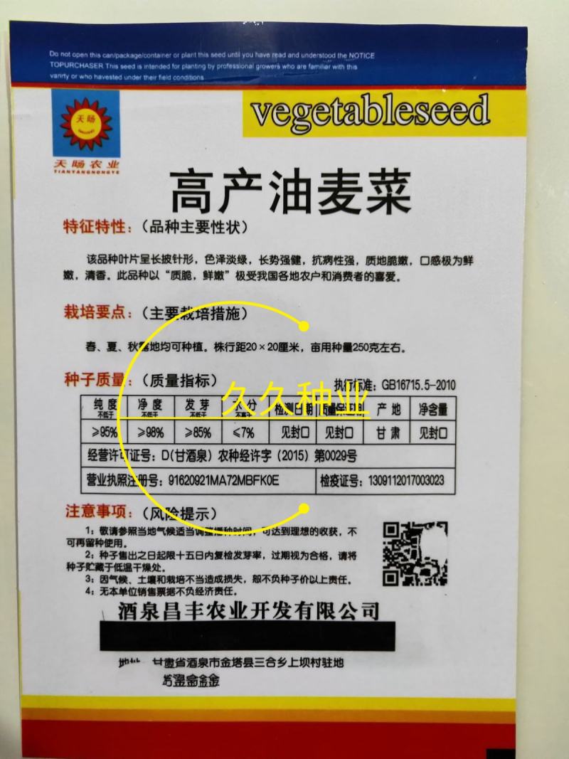 高产油麦菜种子籽孑春夏秋四播季淡绿抗病脆嫩鲜嫩清香油麦菜