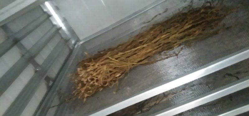 干豆角，自己家里的，手工挑选，精致而成