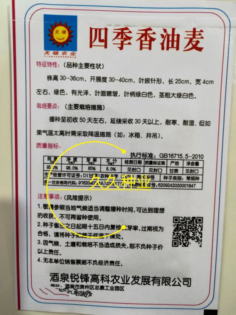 四季香油麦菜籽种子耐寒耐湿春秋冬季蔬菜种籽夏青菜阳台种孑